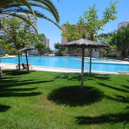 Precious Apartment In Alicante, Playa San Juan Dış mekan fotoğraf