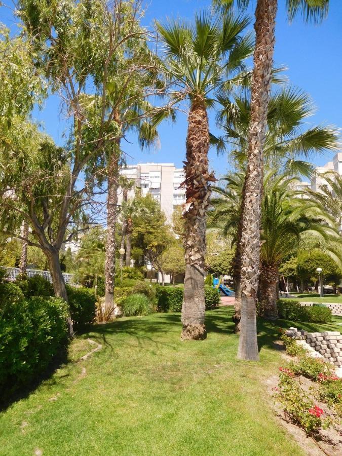 Precious Apartment In Alicante, Playa San Juan Dış mekan fotoğraf